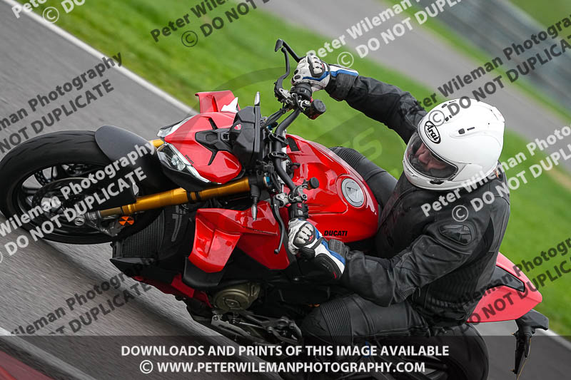 03-02-2019 Grantham Pegasus Trial Stainby;donington no limits trackday;donington park photographs;donington trackday photographs;enduro digital images;eventdigitalimages;no limits trackdays;peter wileman photography;trackday digital images;trackday photos